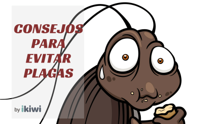 Consejos para evitar plagas en la oficina